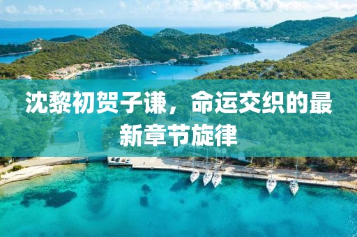 沈黎初賀子謙，命運交織的最新章節(jié)旋律