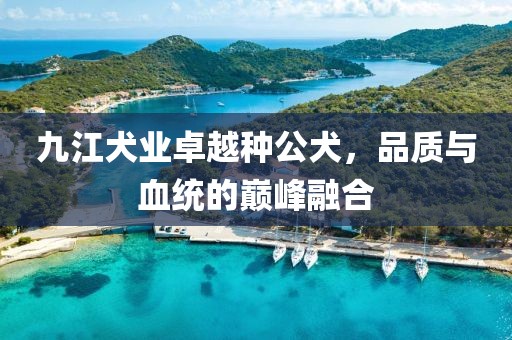 九江犬業(yè)卓越種公犬，品質(zhì)與血統(tǒng)的巔峰融合