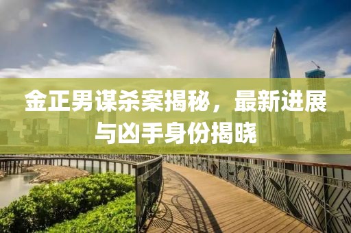 金正男謀殺案揭秘，最新進(jìn)展與兇手身份揭曉