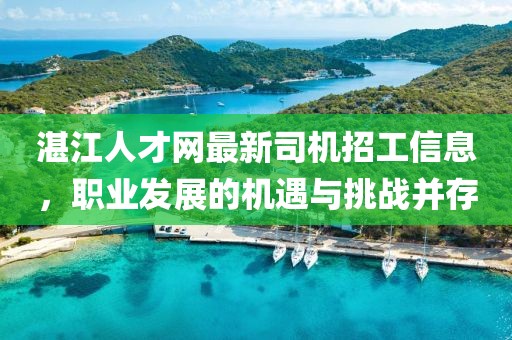 湛江人才網(wǎng)最新司機(jī)招工信息，職業(yè)發(fā)展的機(jī)遇與挑戰(zhàn)并存