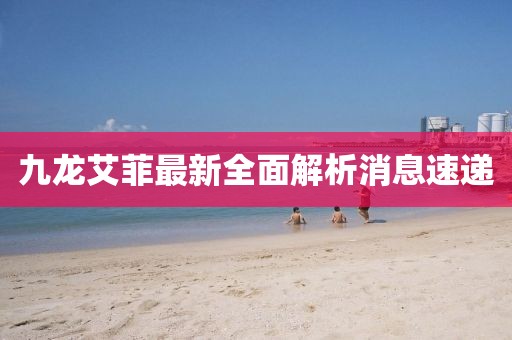 九龍艾菲最新全面解析消息速遞