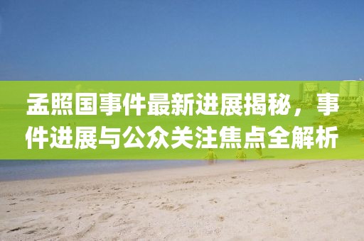 孟照國事件最新進展揭秘，事件進展與公眾關(guān)注焦點全解析