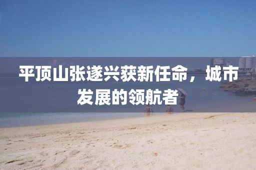平頂山張遂興獲新任命，城市發(fā)展的領(lǐng)航者