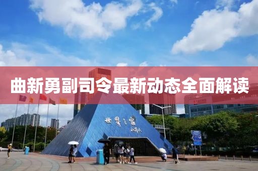 曲新勇副司令最新動態(tài)全面解讀