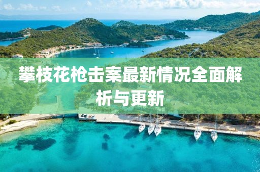 攀枝花槍擊案最新情況全面解析與更新