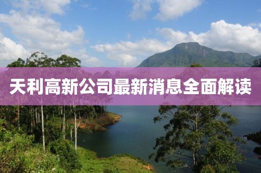 天利高新公司最新消息全面解讀