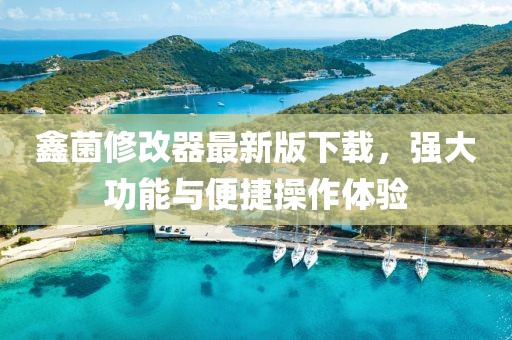鑫菌修改器最新版下載，強(qiáng)大功能與便捷操作體驗(yàn)