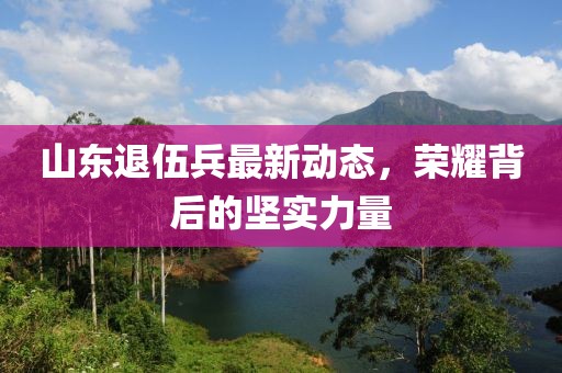 山東退伍兵最新動(dòng)態(tài)，榮耀背后的堅(jiān)實(shí)力量