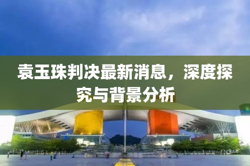 袁玉珠判決最新消息，深度探究與背景分析