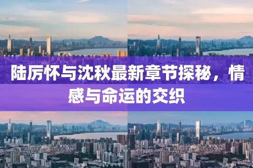 陸厲懷與沈秋最新章節(jié)探秘，情感與命運的交織