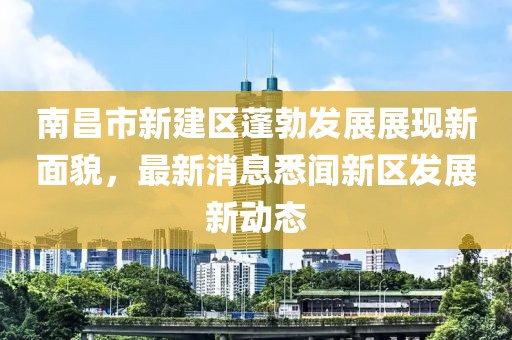 南昌市新建區(qū)蓬勃發(fā)展展現(xiàn)新面貌，最新消息悉聞新區(qū)發(fā)展新動態(tài)