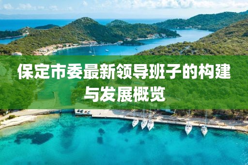 保定市委最新領導班子的構建與發(fā)展概覽