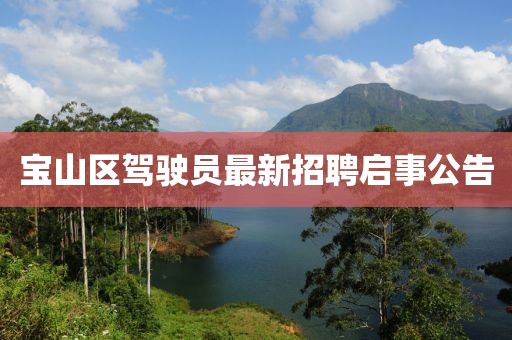 寶山區(qū)駕駛員最新招聘啟事公告