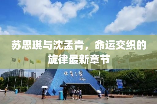蘇思琪與沈孟青，命運(yùn)交織的旋律最新章節(jié)