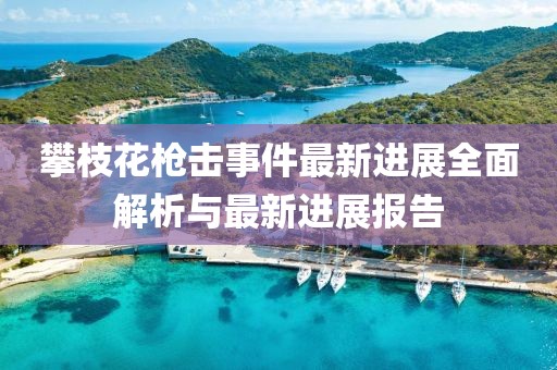 攀枝花槍擊事件最新進展全面解析與最新進展報告