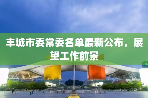 豐城市委常委名單最新公布，展望工作前景