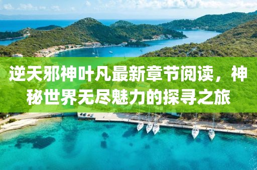 2025年3月12日