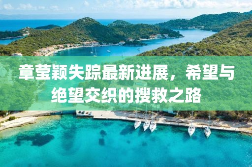 章瑩穎失蹤最新進(jìn)展，希望與絕望交織的搜救之路