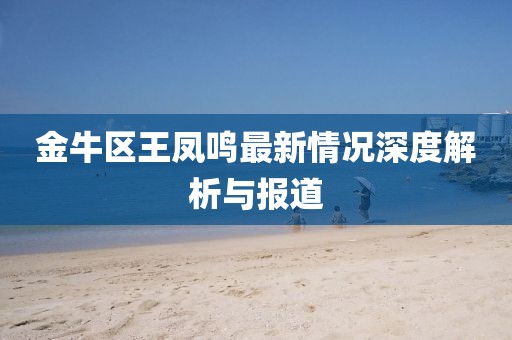 金牛區(qū)王鳳鳴最新情況深度解析與報(bào)道