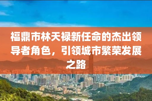 福鼎市林天祿新任命的杰出領導者角色，引領城市繁榮發(fā)展之路