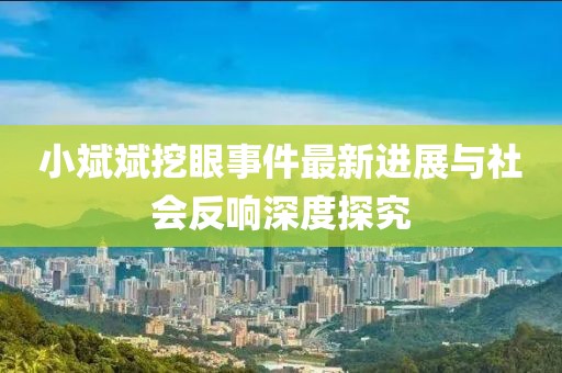小斌斌挖眼事件最新進(jìn)展與社會(huì)反響深度探究