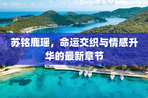 蘇銘鹿瑤，命運交織與情感升華的最新章節(jié)