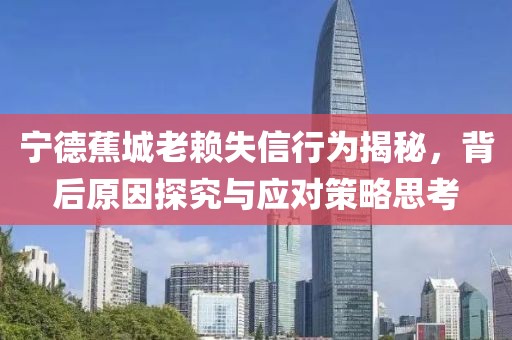 寧德蕉城老賴失信行為揭秘，背后原因探究與應(yīng)對策略思考