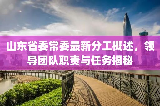 山東省委常委最新分工概述，領(lǐng)導(dǎo)團(tuán)隊(duì)職責(zé)與任務(wù)揭秘