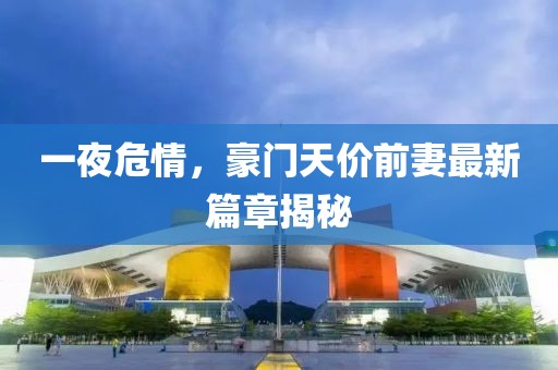 一夜危情，豪門天價(jià)前妻最新篇章揭秘