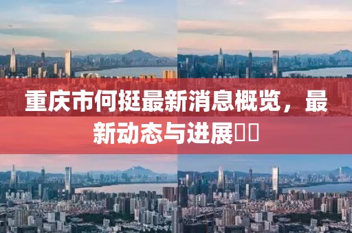重慶市何挺最新消息概覽，最新動態(tài)與進展??