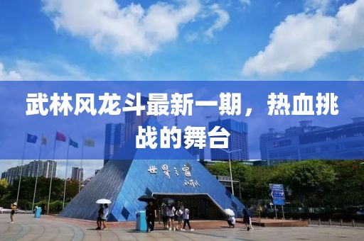 武林風(fēng)龍斗最新一期，熱血挑戰(zhàn)的舞臺