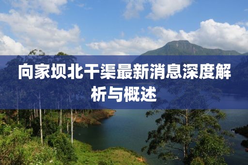 向家壩北干渠最新消息深度解析與概述