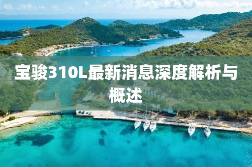 寶駿310L最新消息深度解析與概述