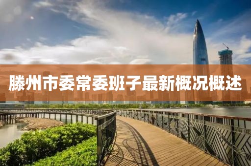 滕州市委常委班子最新概況概述