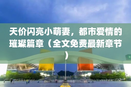 天價閃亮小萌妻，都市愛情的璀璨篇章（全文免費最新章節(jié)）