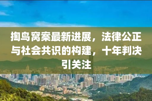 掏鳥窩案最新進展，法律公正與社會共識的構(gòu)建，十年判決引關(guān)注