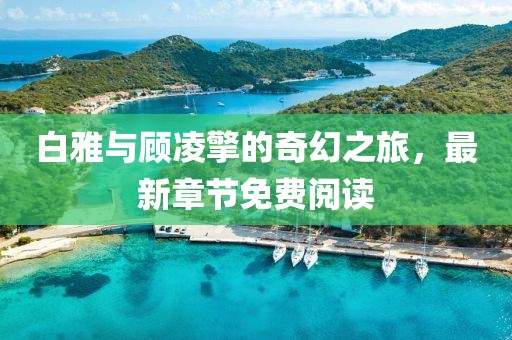 白雅與顧凌擎的奇幻之旅，最新章節(jié)免費(fèi)閱讀
