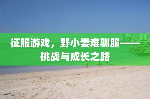 征服游戲，野小妻難馴服——挑戰(zhàn)與成長之路