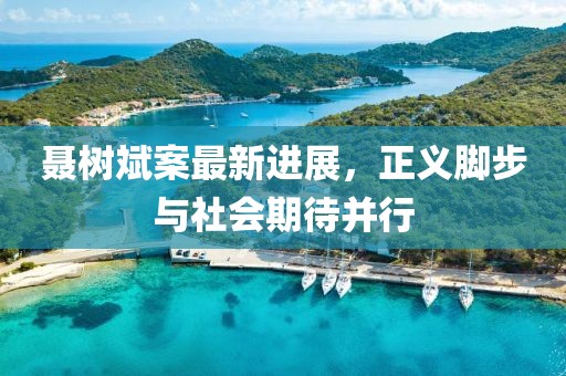 聶樹(shù)斌案最新進(jìn)展，正義腳步與社會(huì)期待并行