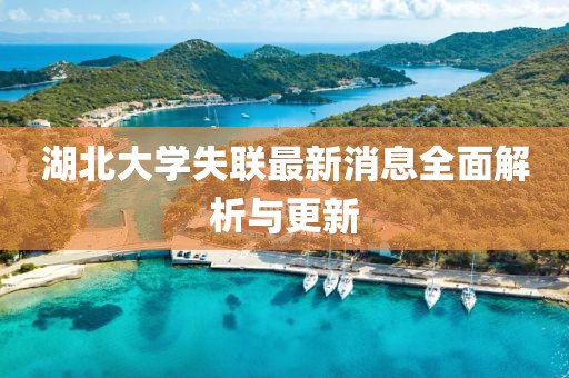 湖北大學(xué)失聯(lián)最新消息全面解析與更新