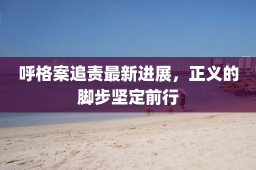呼格案追責(zé)最新進(jìn)展，正義的腳步堅(jiān)定前行