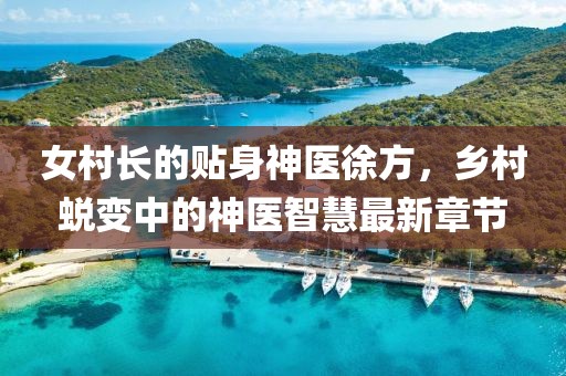 女村長的貼身神醫(yī)徐方，鄉(xiāng)村蛻變中的神醫(yī)智慧最新章節(jié)