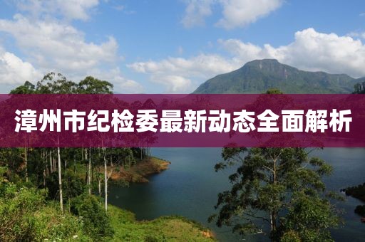 漳州市紀(jì)檢委最新動態(tài)全面解析