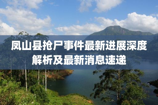 鳳山縣搶尸事件最新進(jìn)展深度解析及最新消息速遞