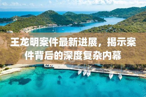 王龍明案件最新進展，揭示案件背后的深度復雜內幕