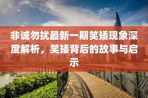 非誠勿擾最新一期笑矮現(xiàn)象深度解析，笑矮背后的故事與啟示