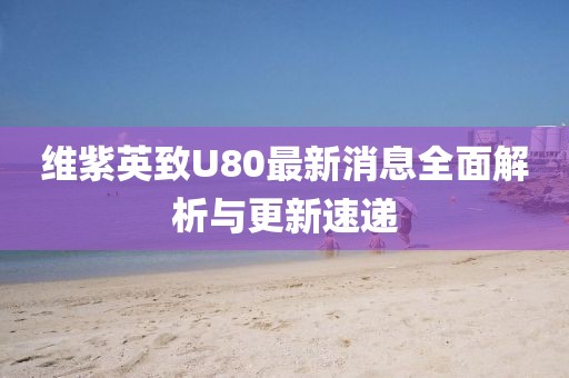 維紫英致U80最新消息全面解析與更新速遞