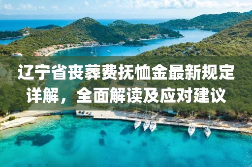 遼寧省喪葬費(fèi)撫恤金最新規(guī)定詳解，全面解讀及應(yīng)對建議