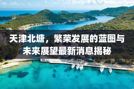 天津北塘，繁榮發(fā)展的藍圖與未來展望最新消息揭秘