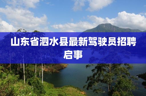 山東省泗水縣最新駕駛員招聘啟事